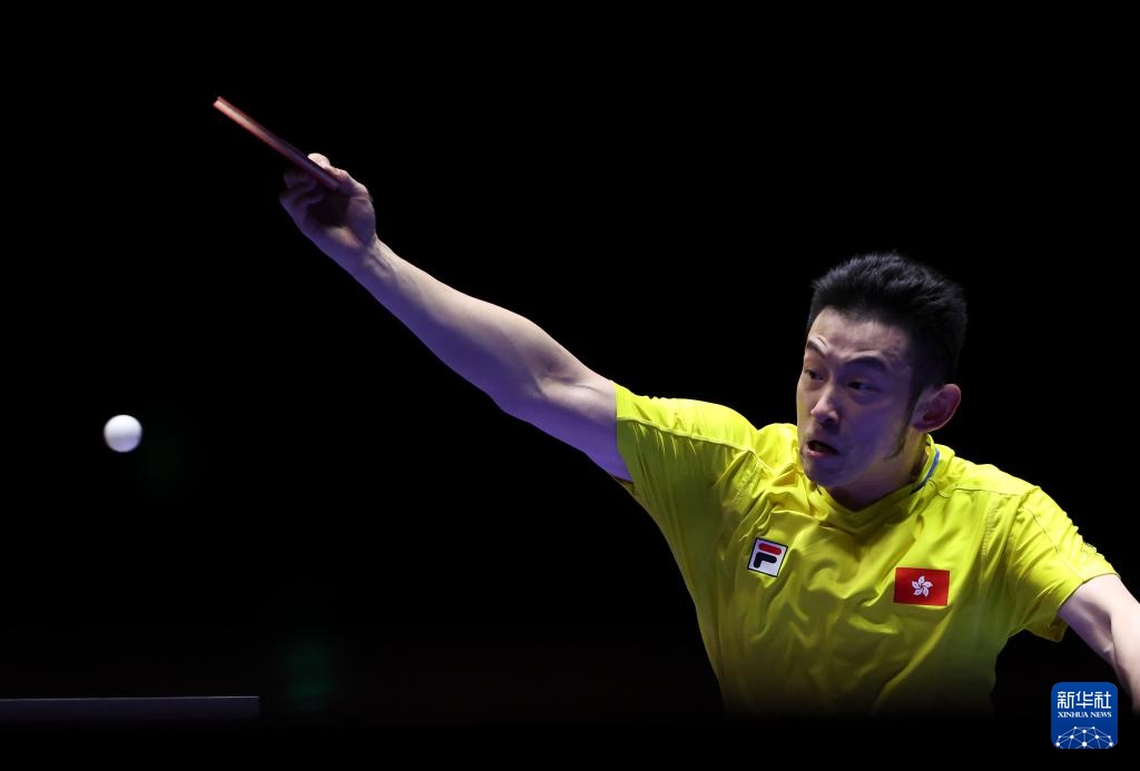 杨这位青年 杨这位青年